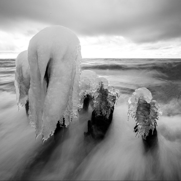 Meet your Posher, Frank - Picture 2 of 3